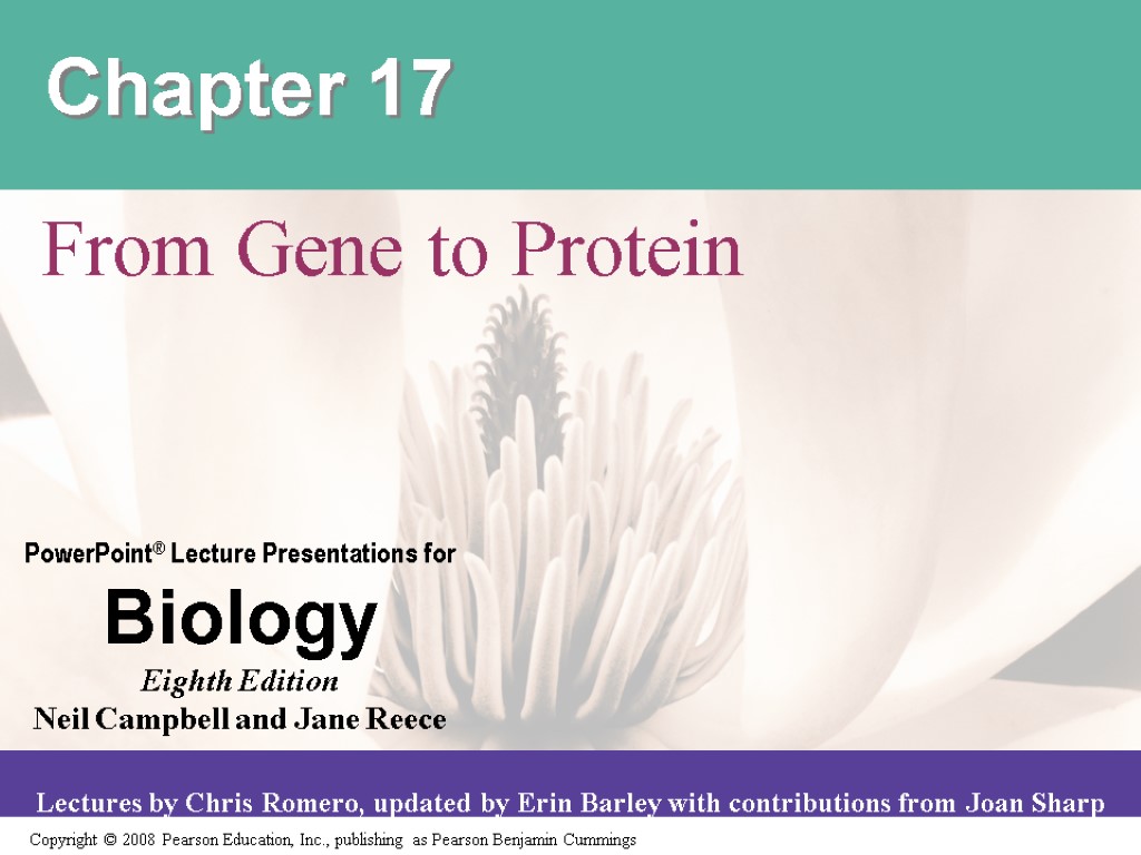 Chapter 17 From Gene to Protein